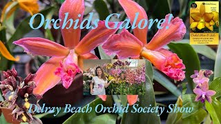 Join us for a stroll through a breathtaking display of orchids at the Delray Beach Orchid Show [upl. by Watkins]