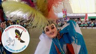 Camada Palomas y Jilgueros de San Tadeo Huiloapan  Carnaval de Tlaxcala 2017 [upl. by Marpet]