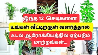 12 of The Healthiest Plants To Have In Your House For Healthy Lifestyle in Tamil [upl. by Daiz622]