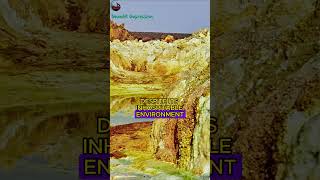 The Danakil Depression  Earths Extreme Geological Wonder facts Danakil Geological Depression [upl. by Irtemed]