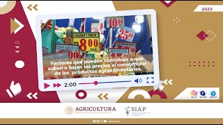 Factores que pueden contribuir en los precios al consumidor de los productos agroalimentarios [upl. by Tildi396]