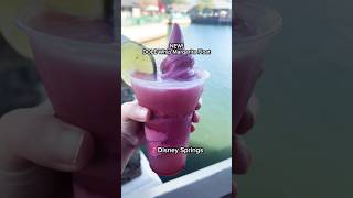 NEW DOLE Whip Margarita Float in Downtown Disney [upl. by Arnst]