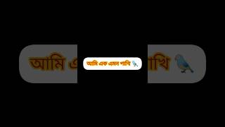 Ami Ek Emon Pakhi  আমি এক এমন পাখি  Sathi Khan  Kabbik Polash  Bangla New Song 2023 [upl. by Lydon458]