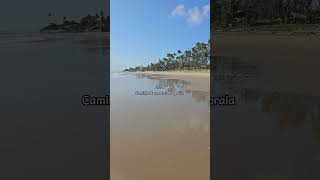 Mini vlog Caminhada na praia e indo para a praia do cupepernambuco portodegalinhas praia 2024 [upl. by Nehttam189]