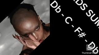 FKA twigs  Eusexua CHORDS [upl. by Sillaw]