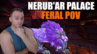 Full Clear All Nerubar Raid Bosses Feral POV Normal TWW Beta Testing [upl. by Stephanie302]