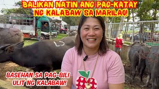 BALIKAN NATIN ANG PAGKATAY NG KALABAW SA MARILAO  BASEHAN SA PAGBILI ULIT NG KALABAW  SOLLES G [upl. by Wenona]