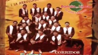 El chuma  La Arrolladora Banda el Limón [upl. by Kobe]