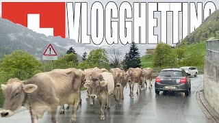 Vlog XIX Selezionato fra tutti gli Infermieri [upl. by Rosy]