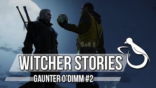 Witcher Stories  Gaunter ODimm Part 22 Witcher Lore [upl. by Boone]