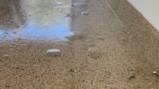 Epoxy Floor Failure Moisture RemediationHow To FixMoisture Barriers surfaceitsurfaceit805 [upl. by Naux]