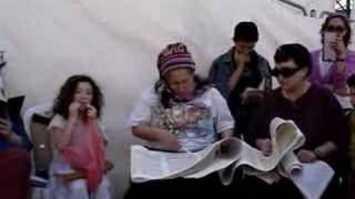 Reading the Megillah at the Western Wall [upl. by Eerhs443]