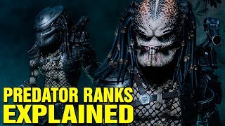 PREDATOR RANK SYSTEM EXPLAINED  YAUTJA SOCIETY AND HIERARCHY [upl. by Innad]