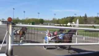 Live Racing  Saratoga Harness [upl. by O'Carroll]