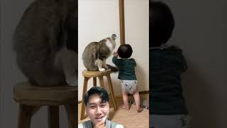 Cat stops little boy from opening the door [upl. by Jen910]