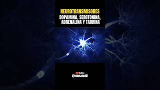 Neurotransmisores medicina salud sabiasque datoscuriosos hormonas [upl. by Marijane]