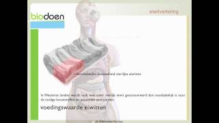 Biodoen  eiwit vertering 4 van 4 [upl. by Collimore]