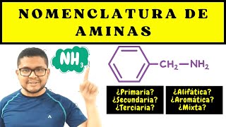 NOMENCLATURA ORGÁNICA AMINAS  Nomenclatura de Aminas [upl. by Berghoff]