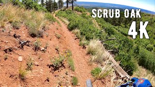 Fast Flowy Downhill Mountain Biking  SCRUB OAK TRAIL  Blodgett Open Space Colorado Springs [upl. by Say]