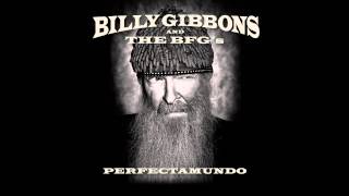 Billy Gibbons  Pickin Up Chicks On Dowling Street from Perfectamundo [upl. by Cummins511]