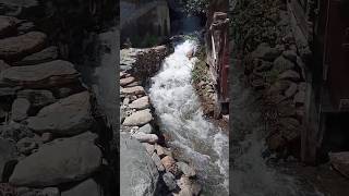 Beautiful water Stream  Kashmir Tour  Best Mineral Waterforestnature valley watercolor water [upl. by Julide]