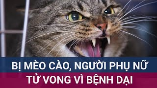 Hi hữu Người phụ nữ tử vong sau nhiều tháng bị mèo cào I VTC Now [upl. by Aerbua]