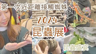 2024國際昆蟲博覽會花博爭艷館｜第一次與蜘蛛親密接觸｜昆蟲盛宴｜參展初體驗 [upl. by Daphie]