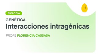 Interacciones intragénicas  Biología  Genética  V7  Egg Educación [upl. by Airtap]