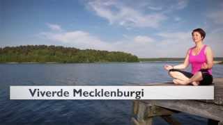 Ferienhaus Mecklenburgische Seenplatte Ferienhaus in MV Viverde Ferienhäuser [upl. by Zoltai124]