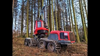 🌲 Komatsu 931XC • the PERFECT one • Harvester in Action • Forstbetrieb Surtmann • Part2🌲 [upl. by Avrit]