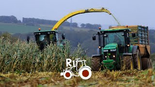 🌽🌽ENSILAGE MAIS 2020 EN BRETAGNE ETA DE LELORN JOHN DEERE FENDT NEW HOLLAND SILAGE HAKSELEN🐄🐂 [upl. by Baron335]