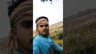 ABUA DISOM TABoN shorstvideo santali newsantaliromantic [upl. by Yug]