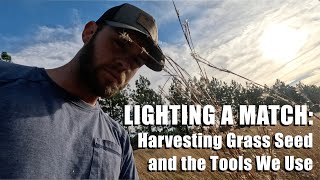 Harvesting Grass Seed and the Tools We Use [upl. by Sheff]