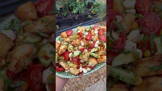 Panzanella gardenharvest gardening gardeninginspiration gardentotable [upl. by Ynneb]