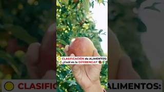 🟡 CLASIFICACIÓN de ALIMENTOS ☝️ ¿Cuál es la DIFERENCIA 🍓RafaCarbajal [upl. by Atiuqrahs]