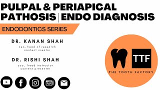 Pulpal amp Periapical Diagnosis  Endodontics Diagnostic Test  Dental Education [upl. by Charmian]