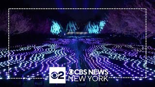 Brooklyn Botanic Gardens Lightscape holiday show returns for 2023 season [upl. by Weingartner]