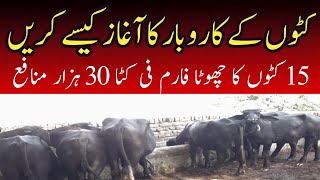 Katta Farming Business kaise start kare in Pakistan 2023 Katta Farming vs Wacha Farming [upl. by Nnaylrebmik]