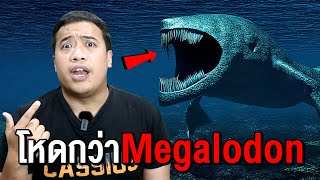 3 สัตว์ที่น่ากลัวมากกว่า Megalodon [upl. by Delmer]