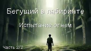 Бегущий в лабиринте  2 Испытание огнем Часть 22 Аудиокнига [upl. by Atkins]