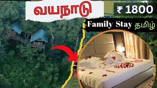 Best resorts in wayanad Wayanadtouristplaces wayanad bestresortsinwayanad familyresortinwayanad [upl. by Atsillac]