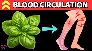 TOP 7 Herbs To Say GoodBye Poor Blood Circulation In Legs  Vitality Solutions [upl. by Galligan975]