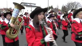 Narrenzunft Winzeln 2014 in Herrenzimmern [upl. by Nevarc]