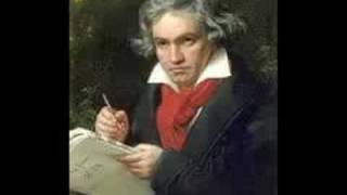 Beethoven Symphony No 7 in A Major Op 92 Allegretto [upl. by Eanad]