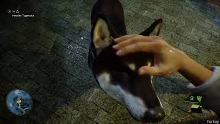 Petting a Dog in Ghostwire Tokyo [upl. by Seroled]