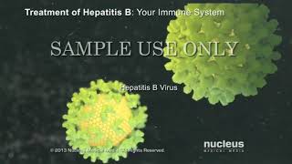 የጉበት በሽታ የወፍ በሽታHepatitis Virus [upl. by Peregrine]