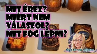 Mit érez mit fog lépni Válassz egy paklit [upl. by Anivlis]