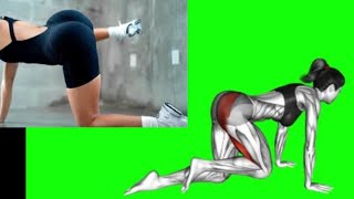 10MIN GLUTEUS MINIMUS STRETCHING EXERCISE AT HOME gluteexercises [upl. by Aciraj]