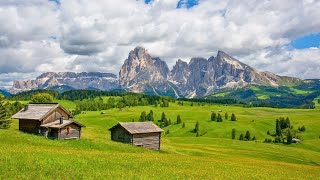 Belle musique et chants doiseaux dans des scènes de nature paisibles 🌲 Citations inspirantes [upl. by Plantagenet]