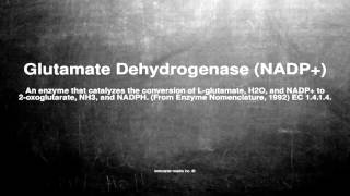 Medical vocabulary What does Glutamate Dehydrogenase NADP mean [upl. by Wilton]